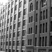 Black and white_0009.jpg